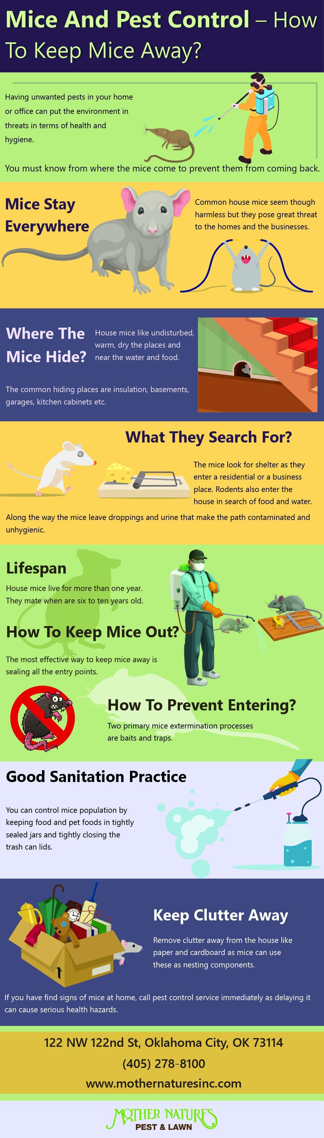Mice and Pest Control- How to Keep Mice Away? — Mother Nature's Pest & Lawn