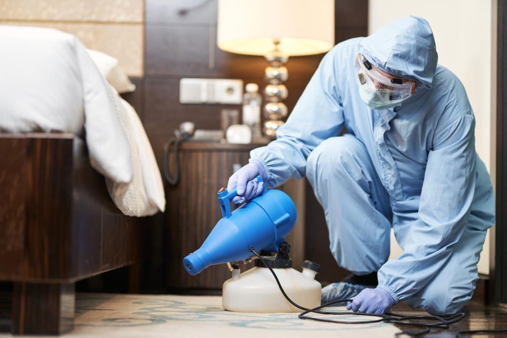mice exterminator okc