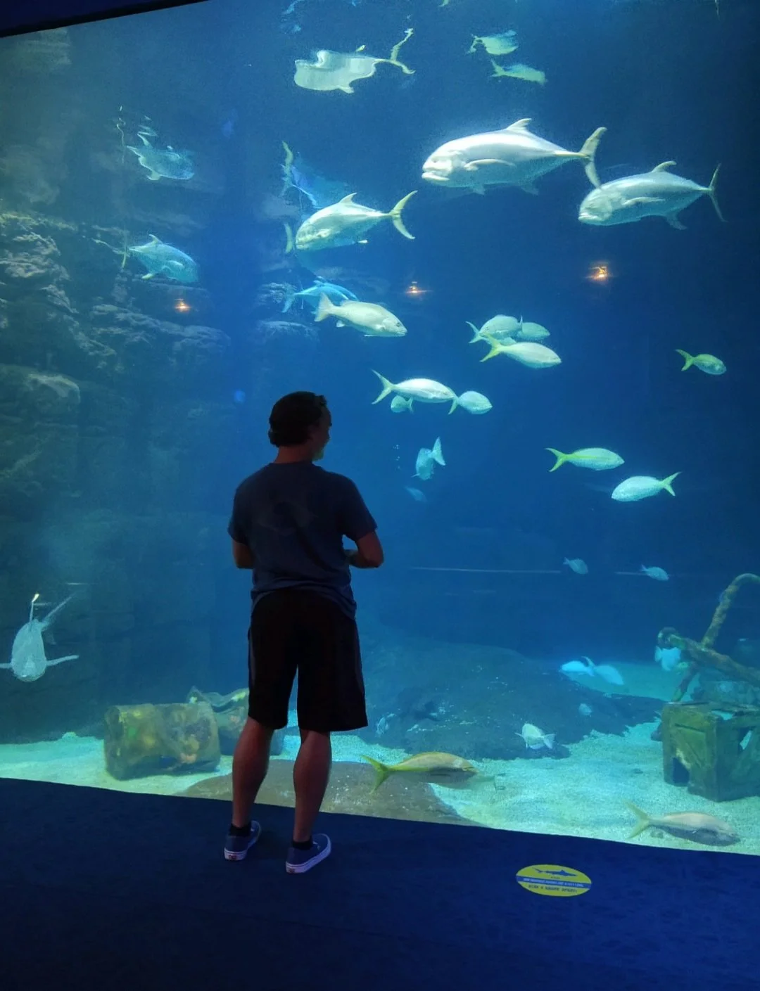 hyperbaric-oxygen-therapy-sportsmed