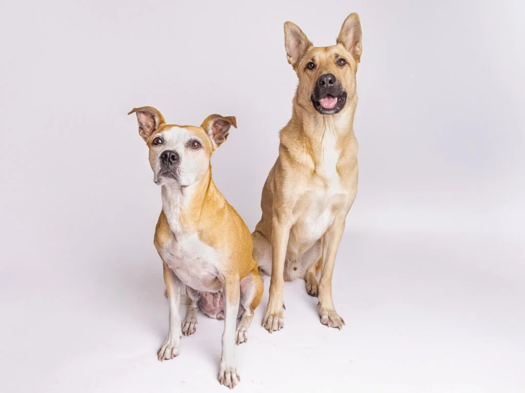 Bigfoot & Bettie.jpg