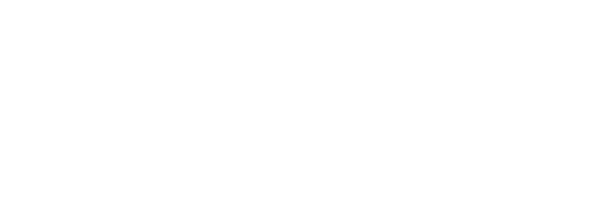 VFS-logo.png