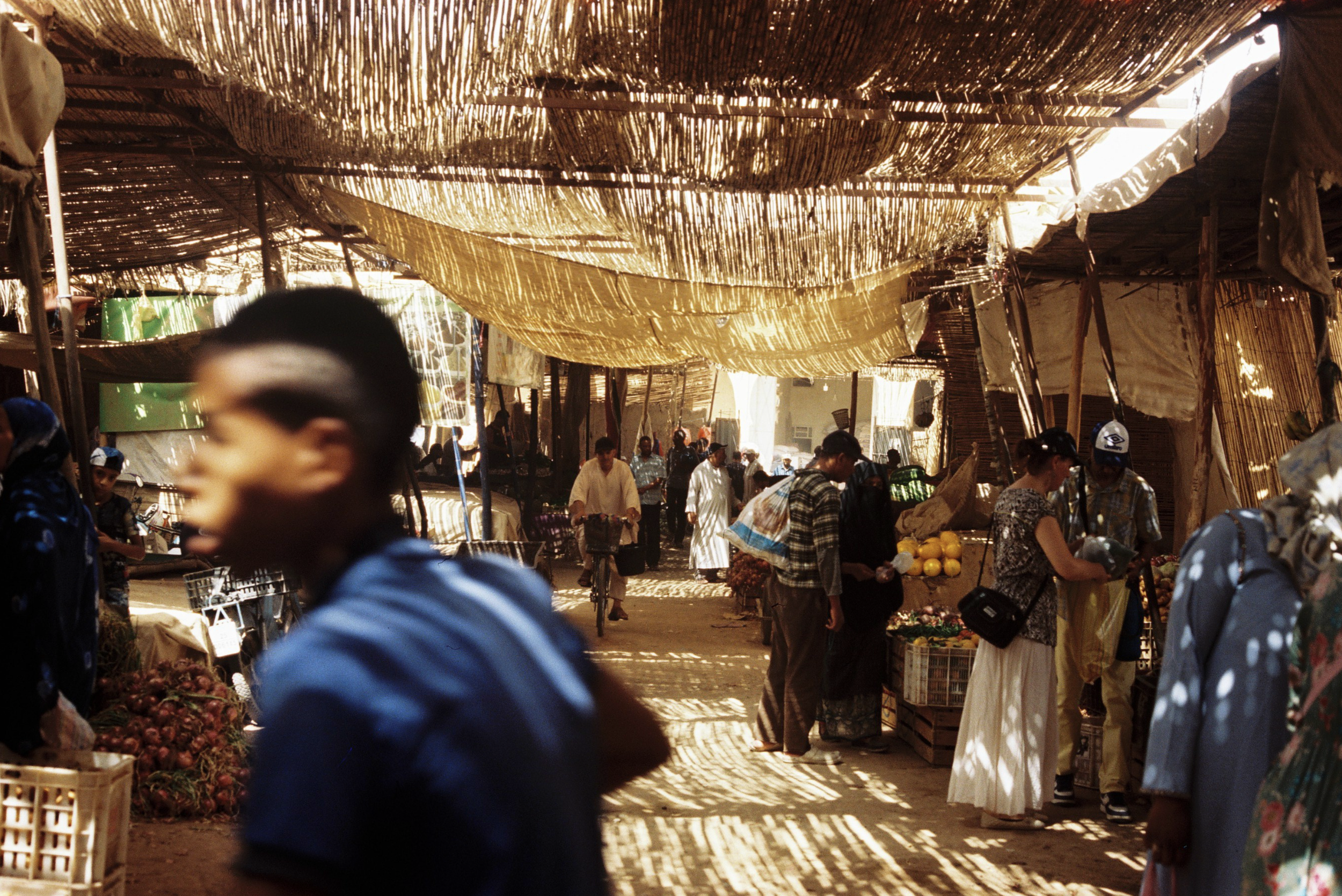 Screenshot 2023-07-12 at 13.33.04.png