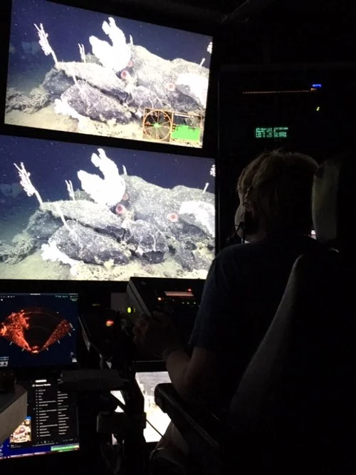 charlotte 2IMG_7784.JPG