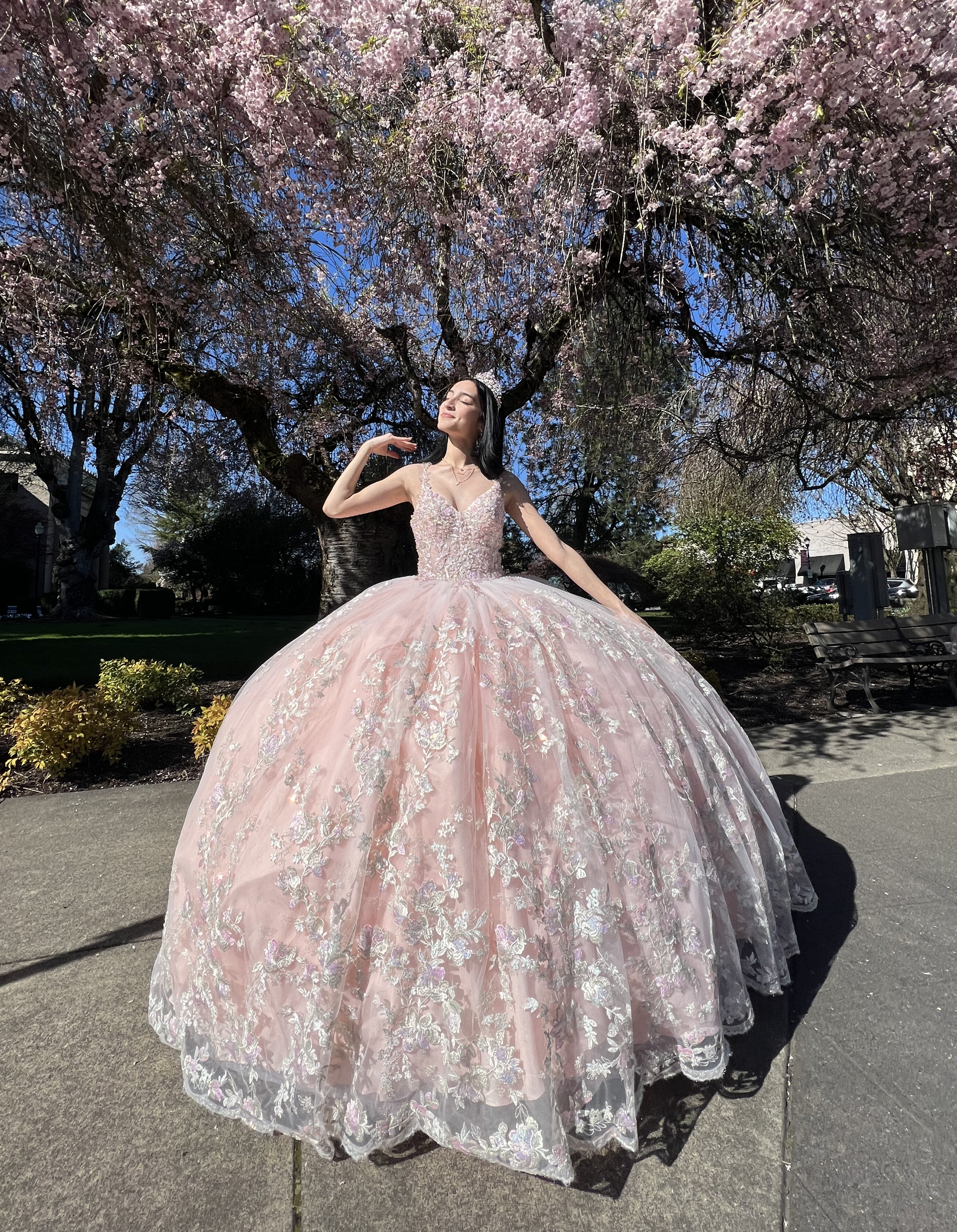 Quinceanera Pink Blossom Dress Cherry Blossom Quinceañera (Lovely