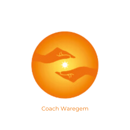 Coach Waregem.png