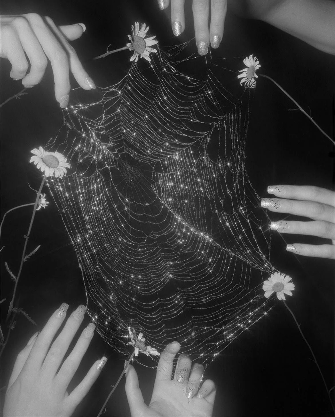 who do you think is guiding the spider to form a divine and perfect web? what is teaching her where to go next? are we guided by the same intelligence?

who are we? what is our dharma? what is guiding the divine web of our lives? 

some traveling tho