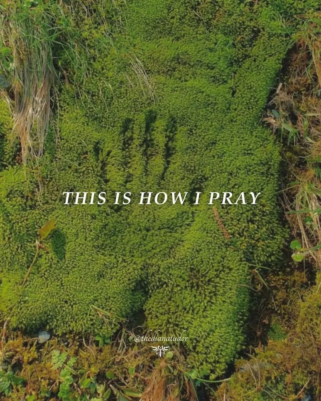 from root to rise 👣 extracts from moon musings, my biweekly WhatsApp update. 

&ldquo;we are deep in Scorpio season. Scorpio is fixed water - it confronts, it goes deep, it pierces you in ways that you didn&rsquo;t think were possible. It&rsquo;s pr