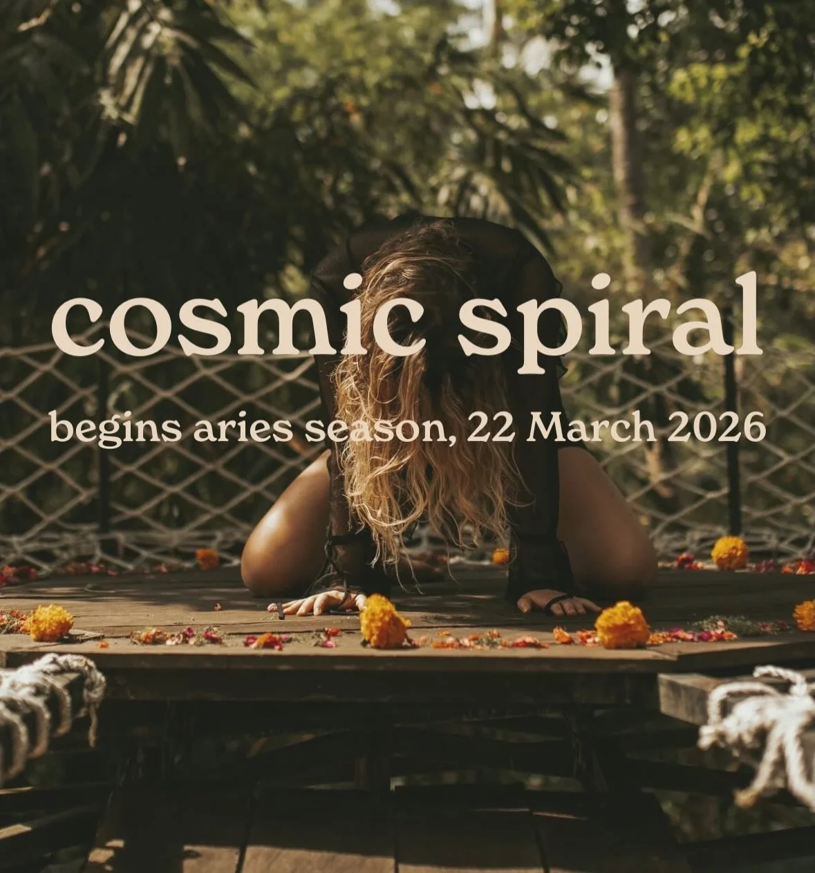 Happy new moon, year of the fire horse, solar eclipse in Aquarius ⚡️

We have had an intense month leading up to this point. We are on a threshold in many many ways.

Recently I have felt that astrology is so much more than cerebral understanding or 