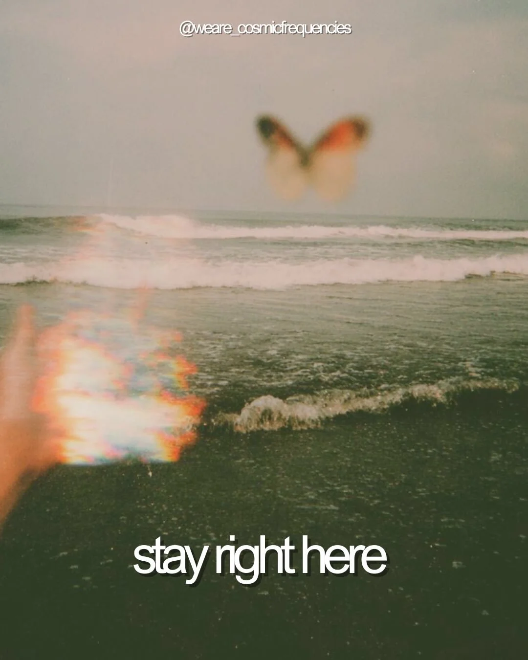 The final wash through of the astrological year, the end of eclipse season. A Pisces new moon. 

It feels like we remain on a threshold. Despite all the forward movement of Neptune / Saturn in Aries and the fire horse, which has given some sudden cha