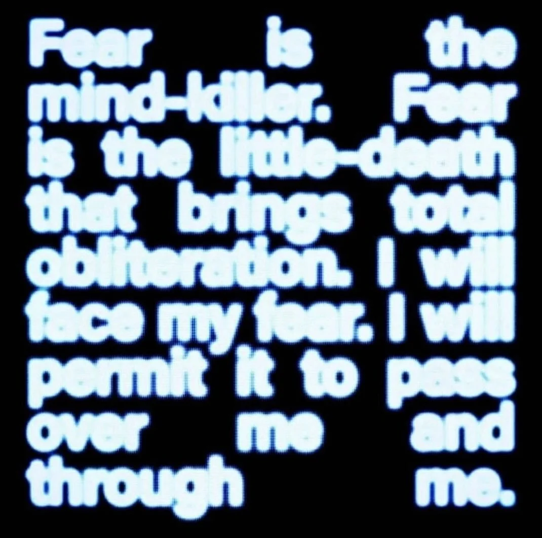 a fresh week, a week into a fresh season, a full moon week. we have been reborn through the birth canal of pisces > aries, we are setting the ground work for our &lsquo;new&rsquo; selves which requires us to lean forward and trust in the f***ing p