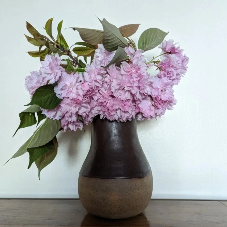 It's my favourite time of the year, everything feels like it's showing off! All the flowers are in full bloom 🌞
.
.
.
 
#handmadeceramics #handmadepottery #handmade #ceramics #vase #spring #atahuceramics