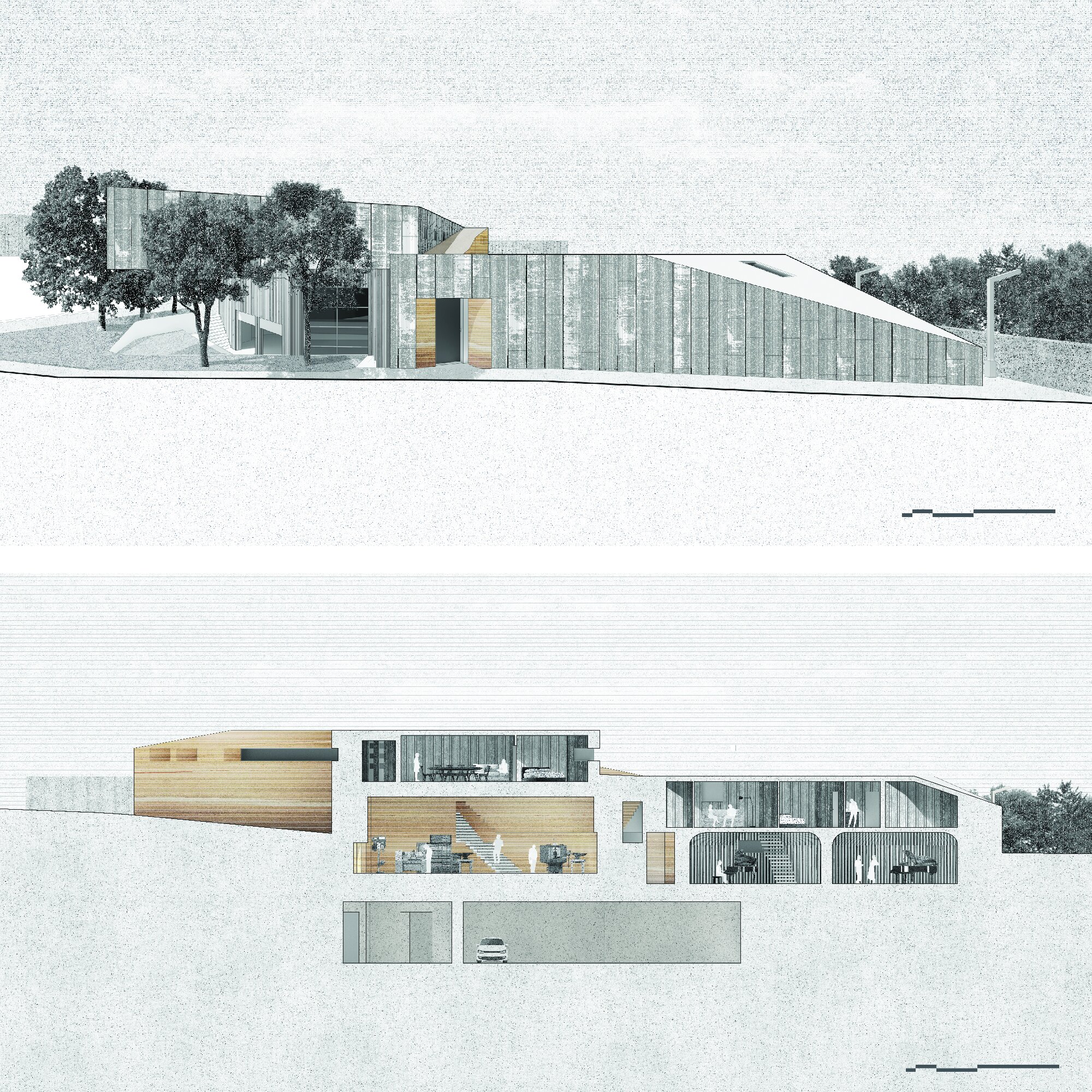 Elevation and Section