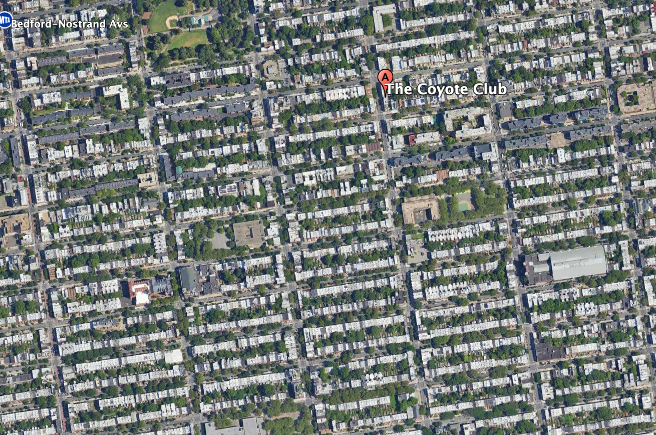 Diane di Prima in Bedstuy (1/30/24)
