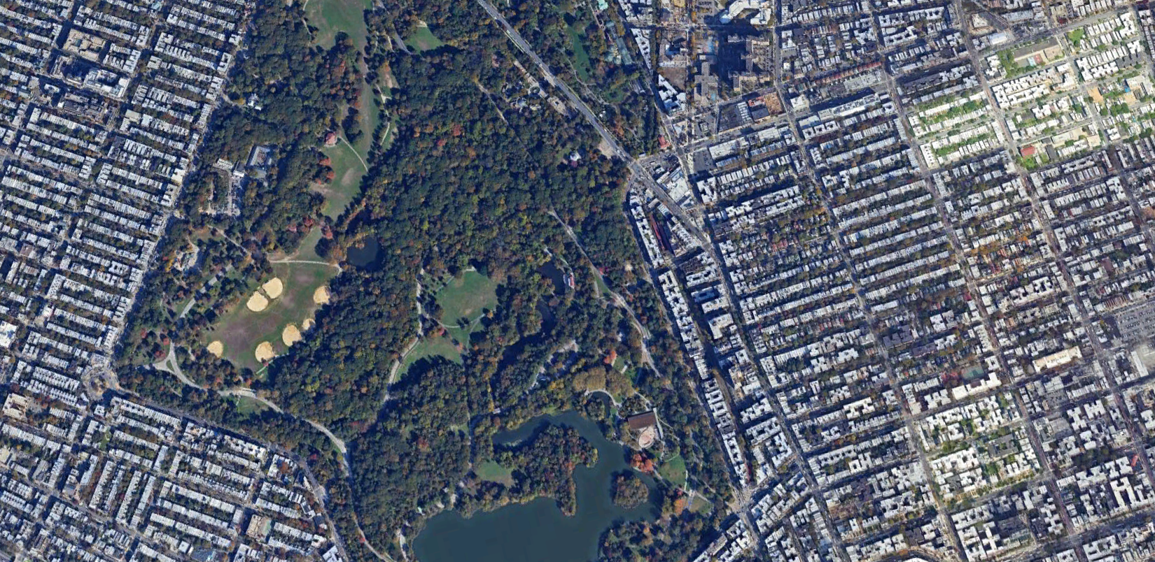 Forest Cosmologies in Prospect Park (6.18.24)