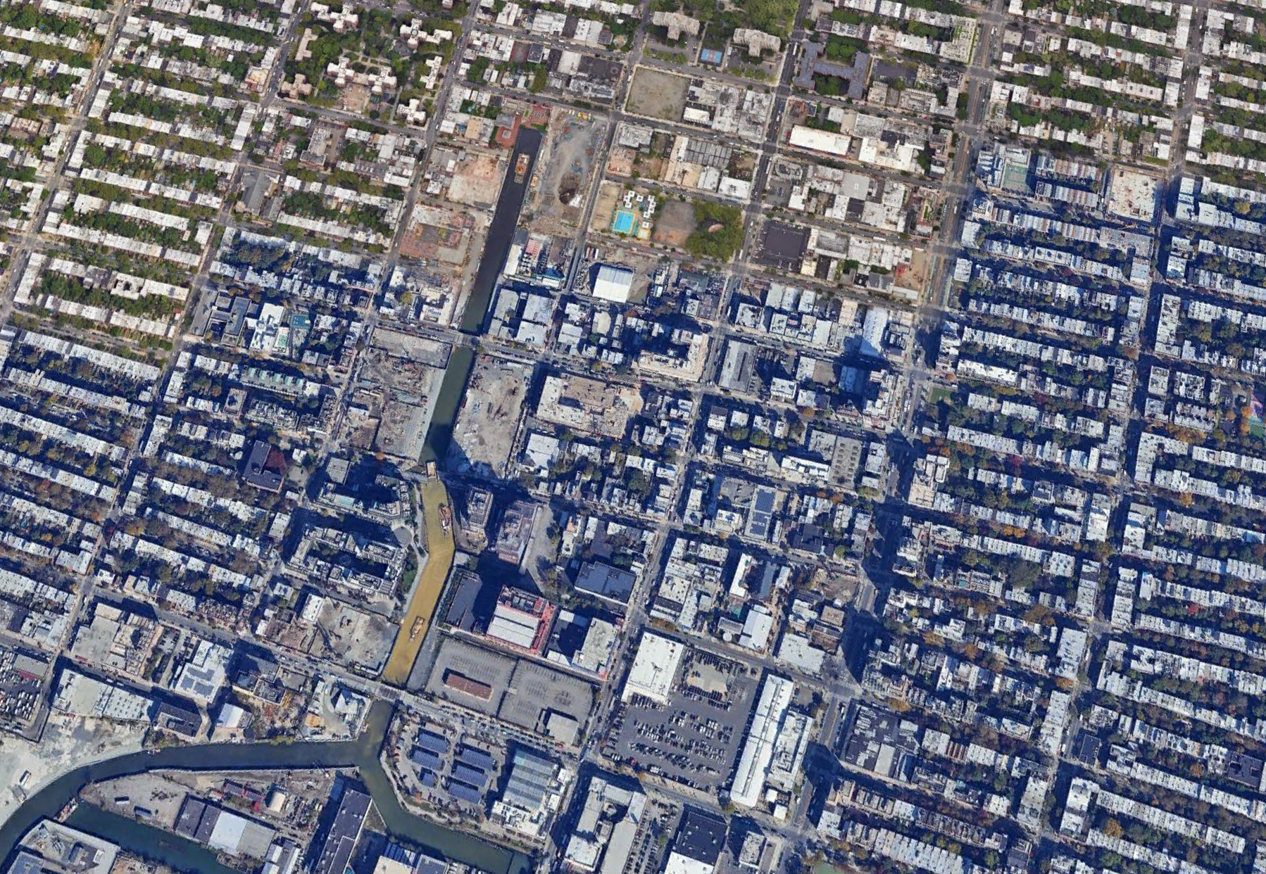 Interspecies Care in Gowanus (8.28.24)