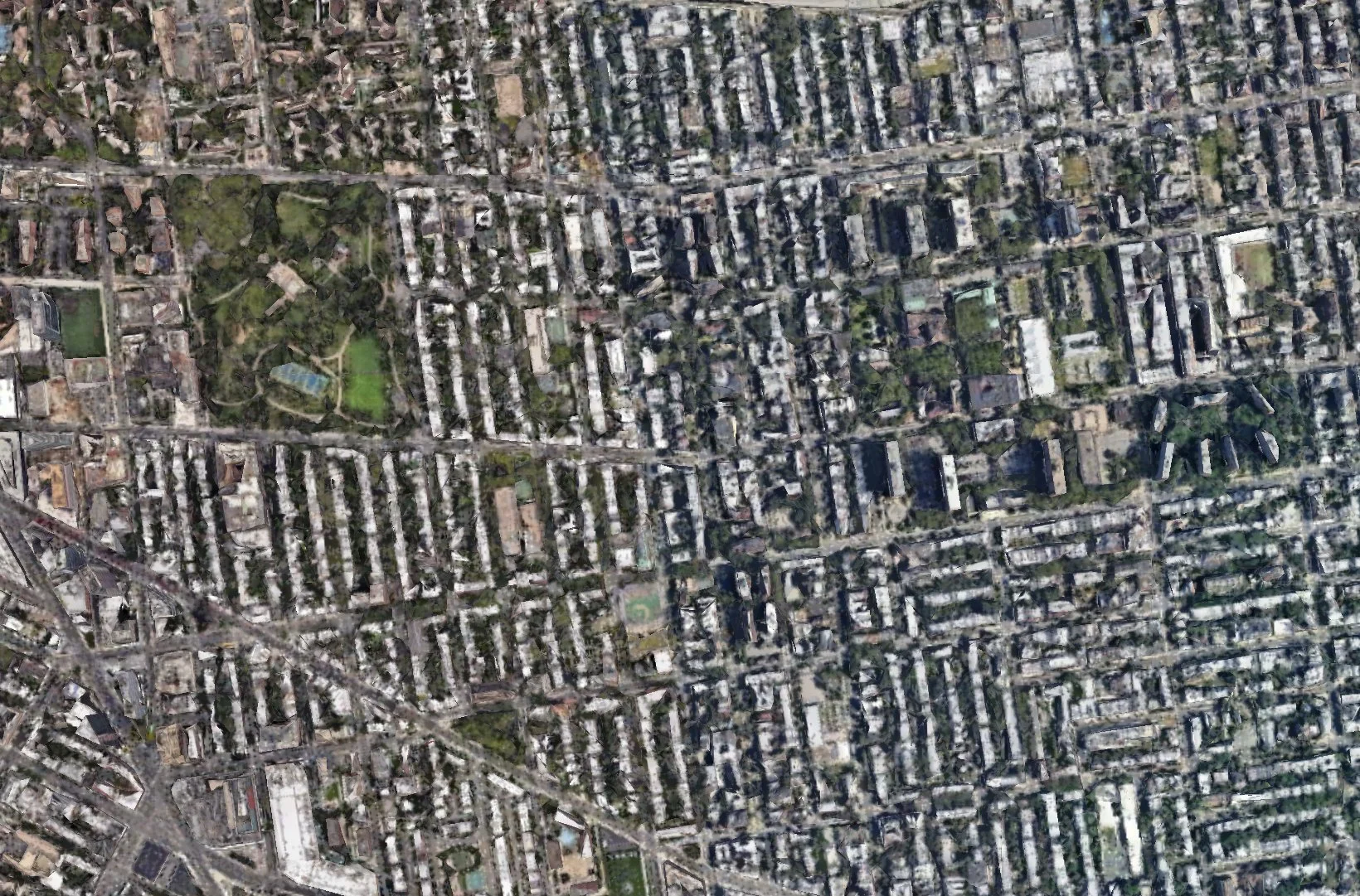 Kinship in Fort Greene (9.18.24)
