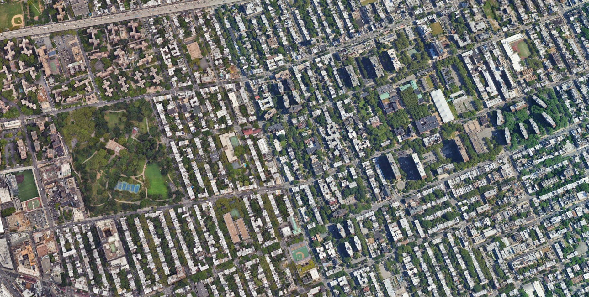 Fort Greene's Collectivism (12.11.24)