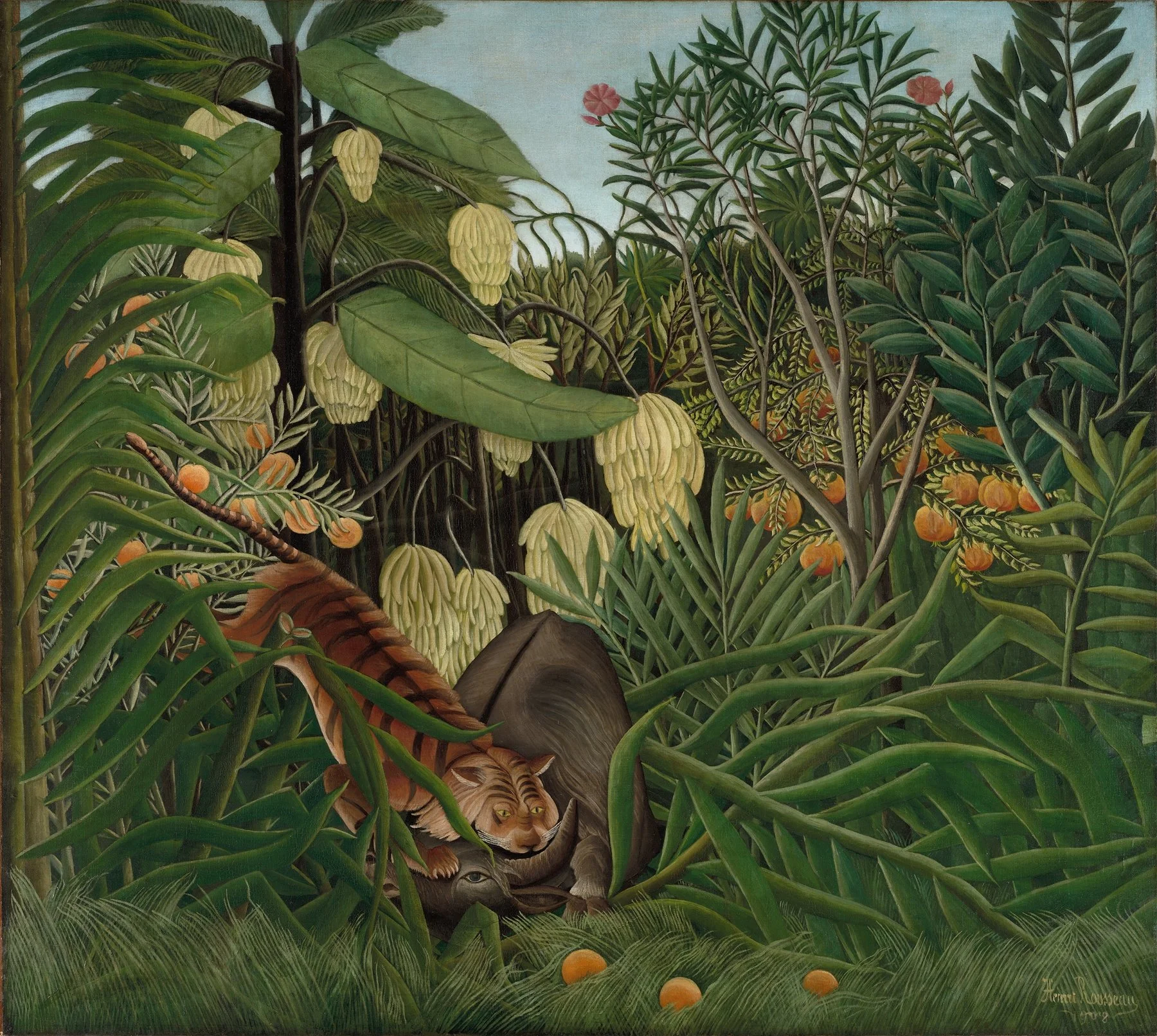 ANIMAL PHENOMENOLOGY (7/6-7/20)