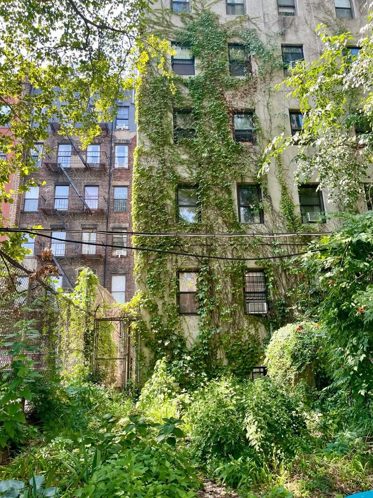 INTO the WEEDS (4/29-5/13)