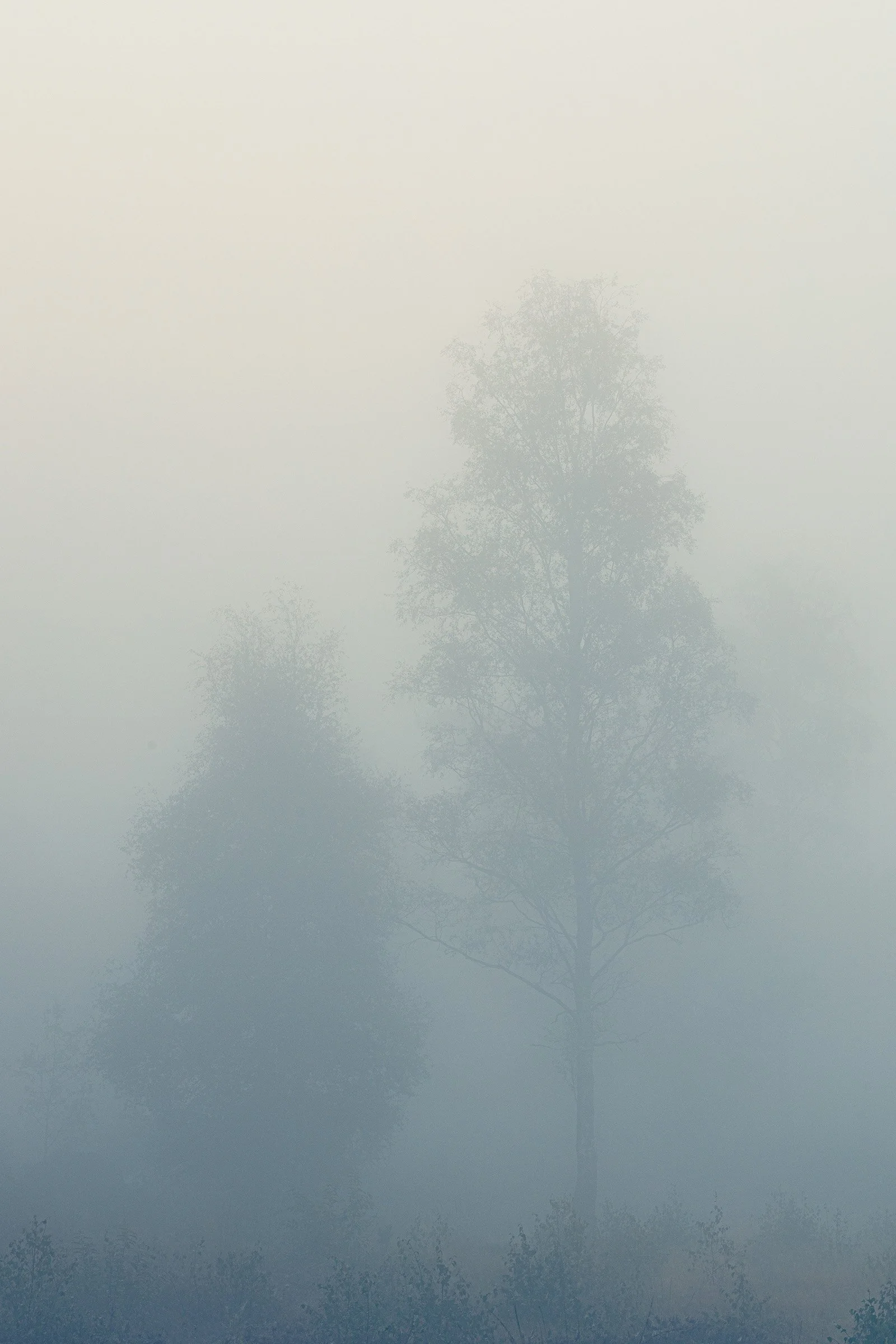 _MG_9398-duo in mist blue web.jpg