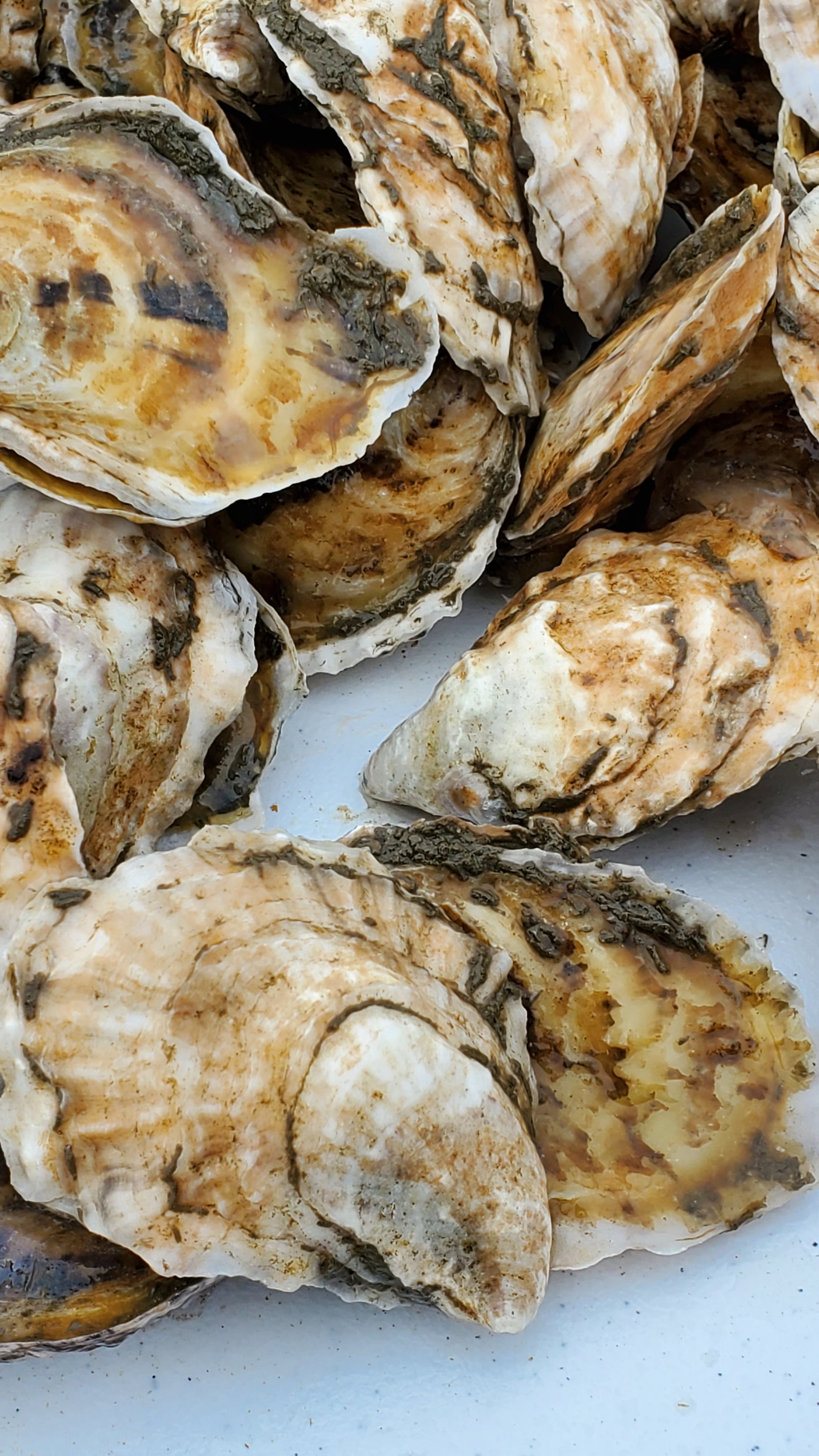 20201213_092437.jpg