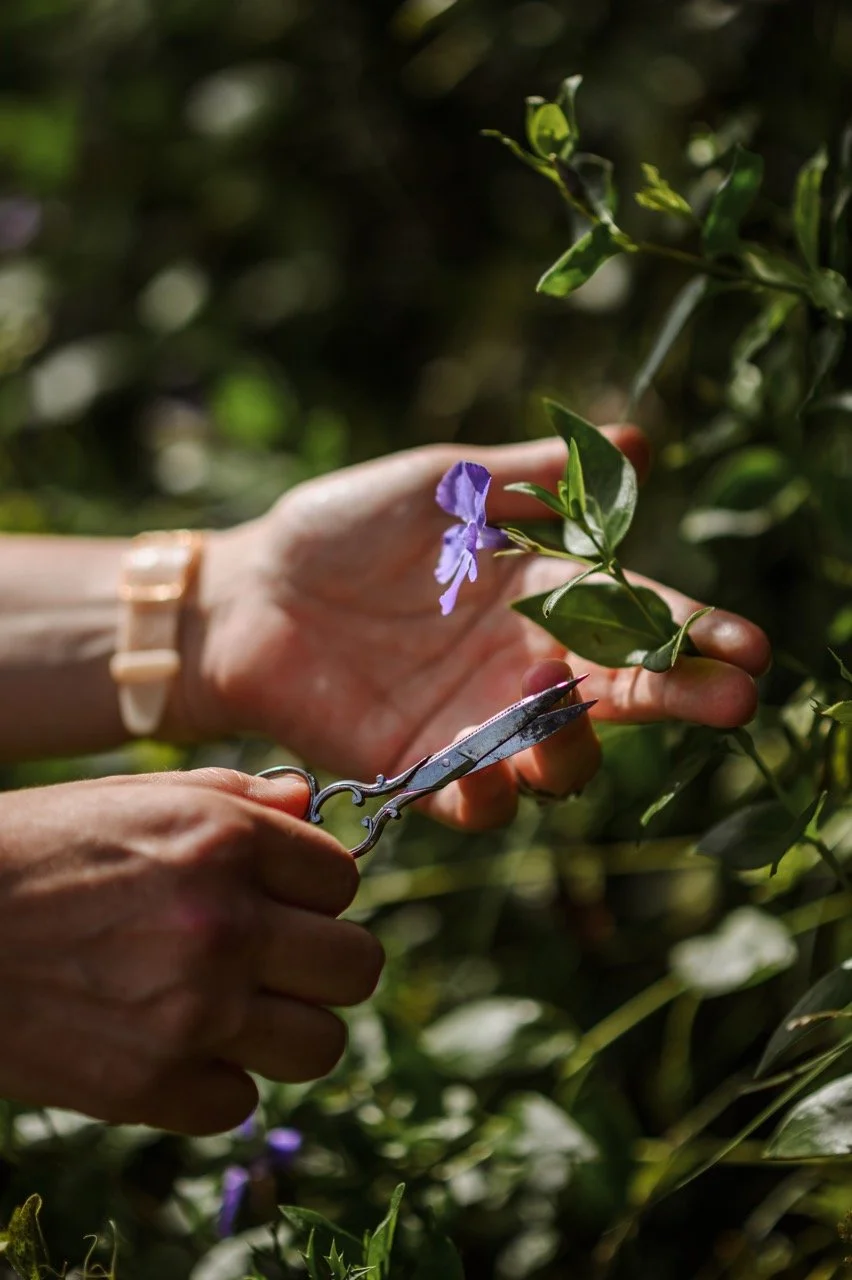 2025-05-19_Pomponette_atelier_creditKmorandi8 - Grande.jpeg