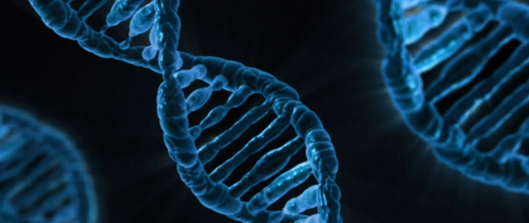 Close-up of a blue DNA double helix structure on a dark background.