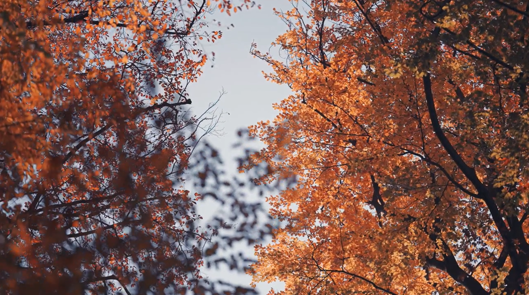 Sept 30 - Header.png