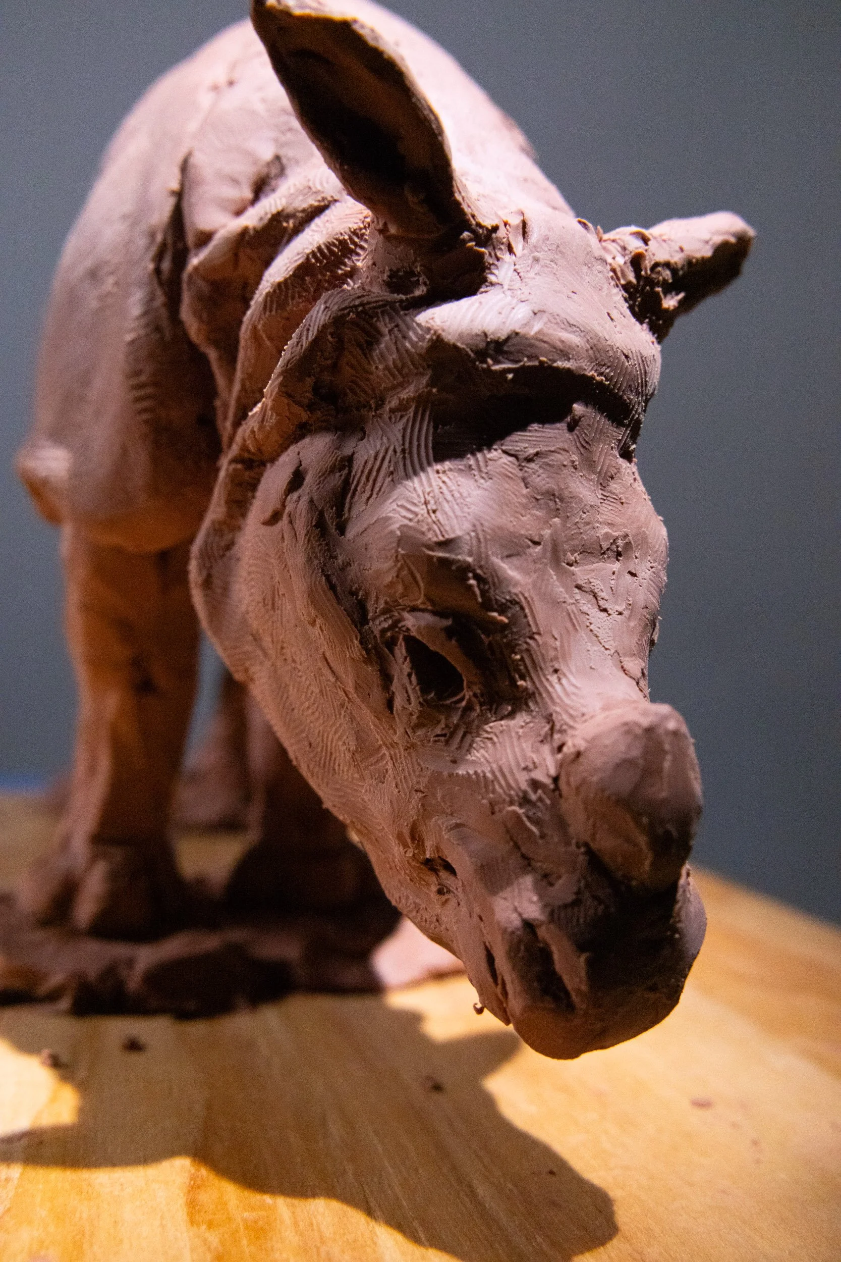 Rhino Clay Sculpture Study