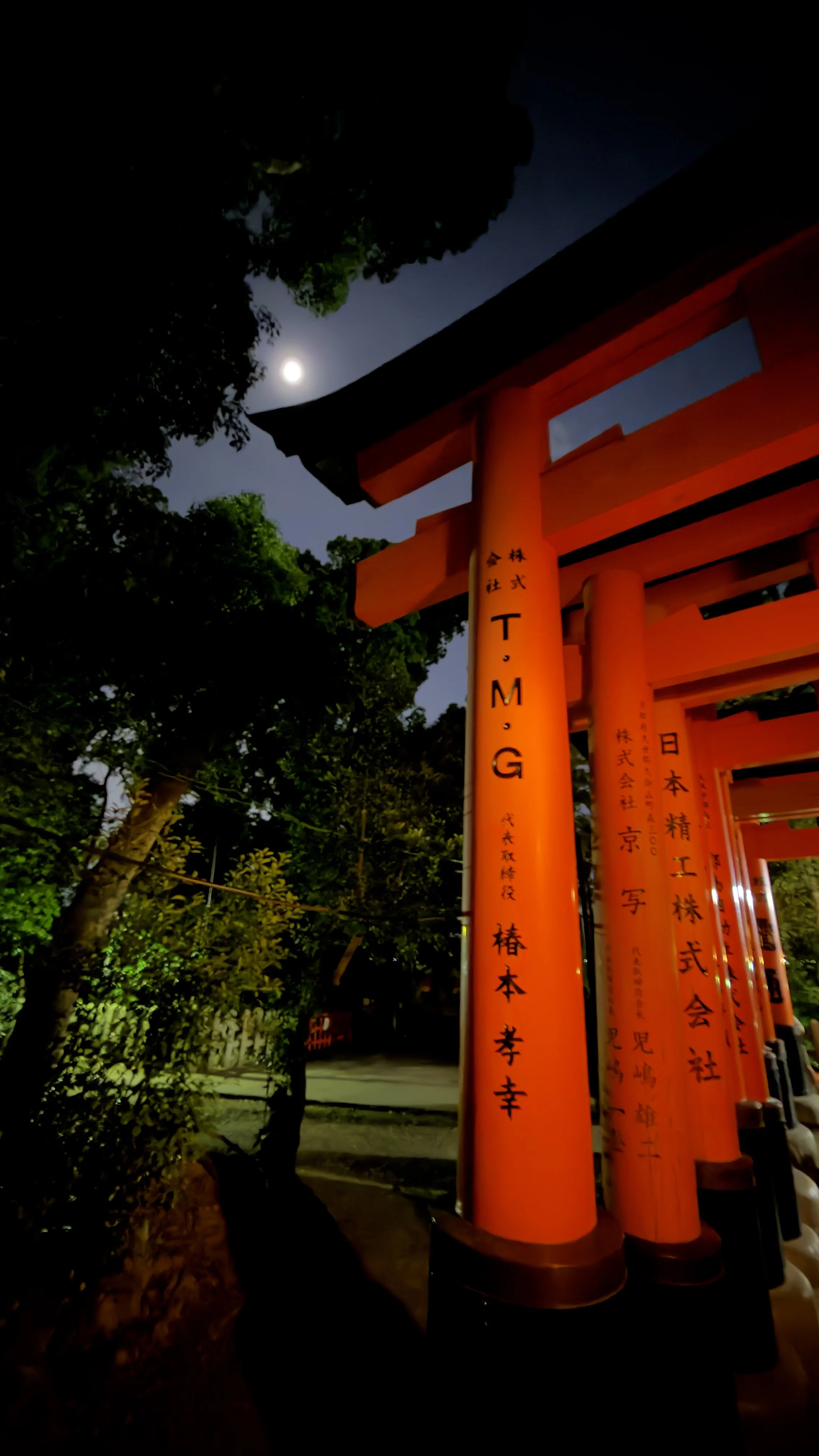 Moonlight in Kyoto
