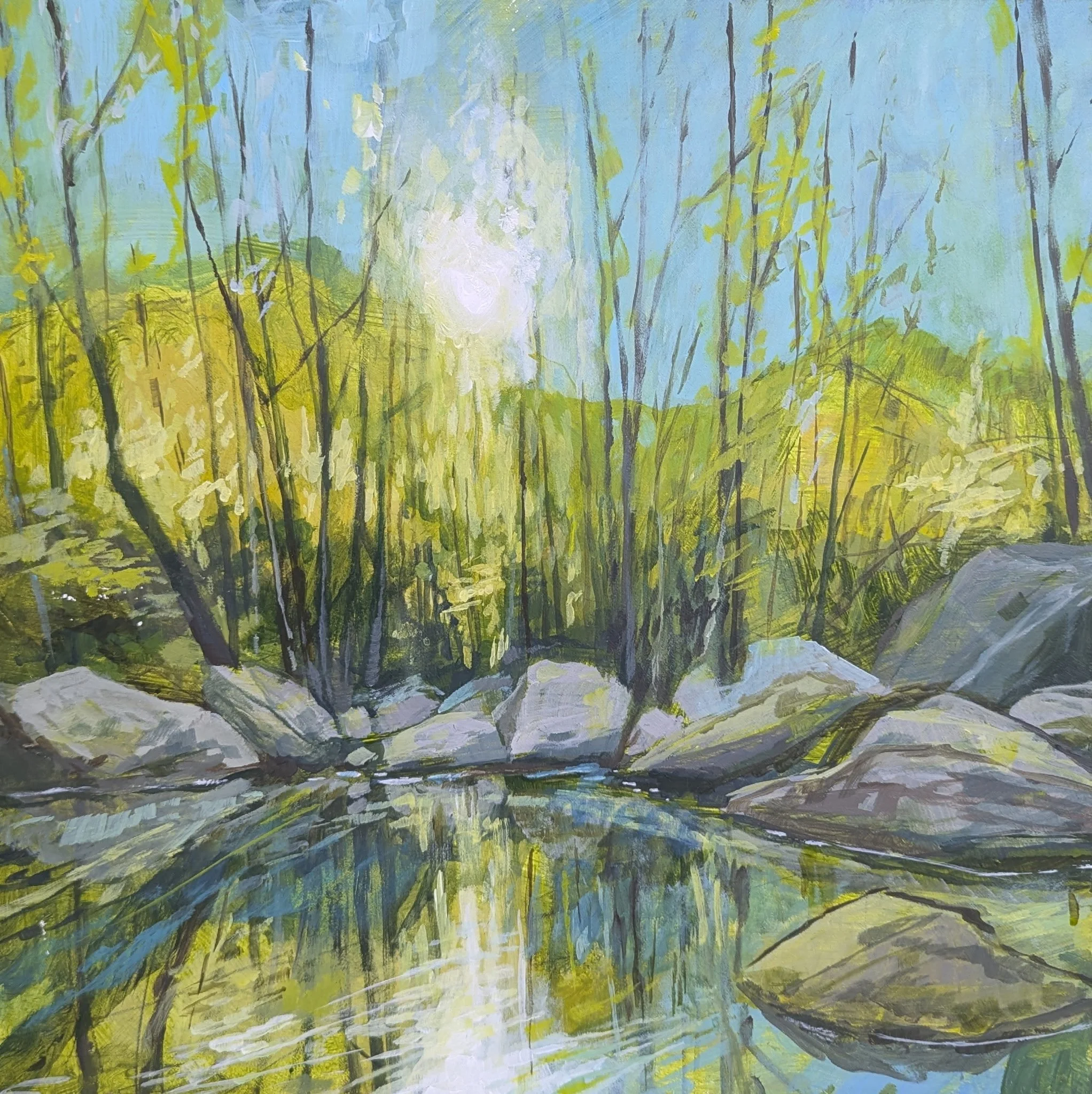 New World 12 x 12_800.JPG