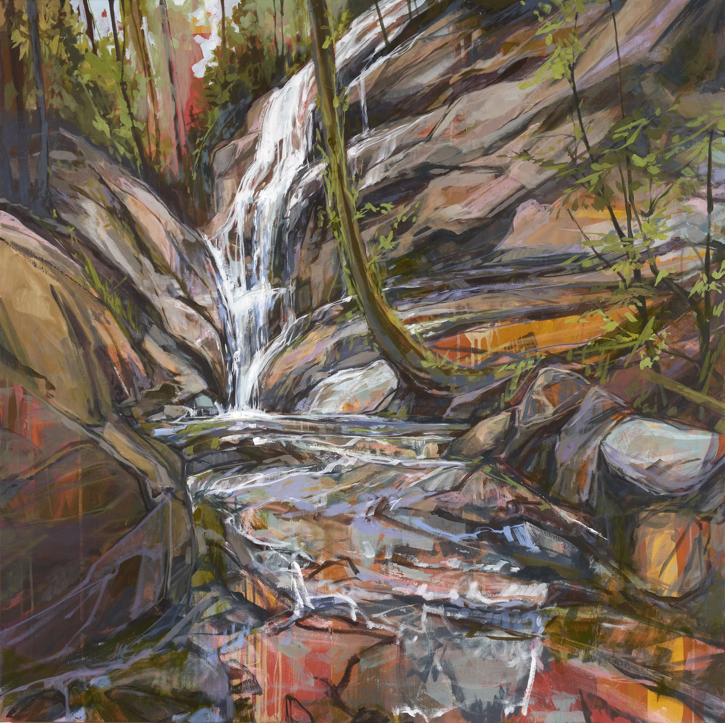 Appalachian Athena_48x48_10500.jpg