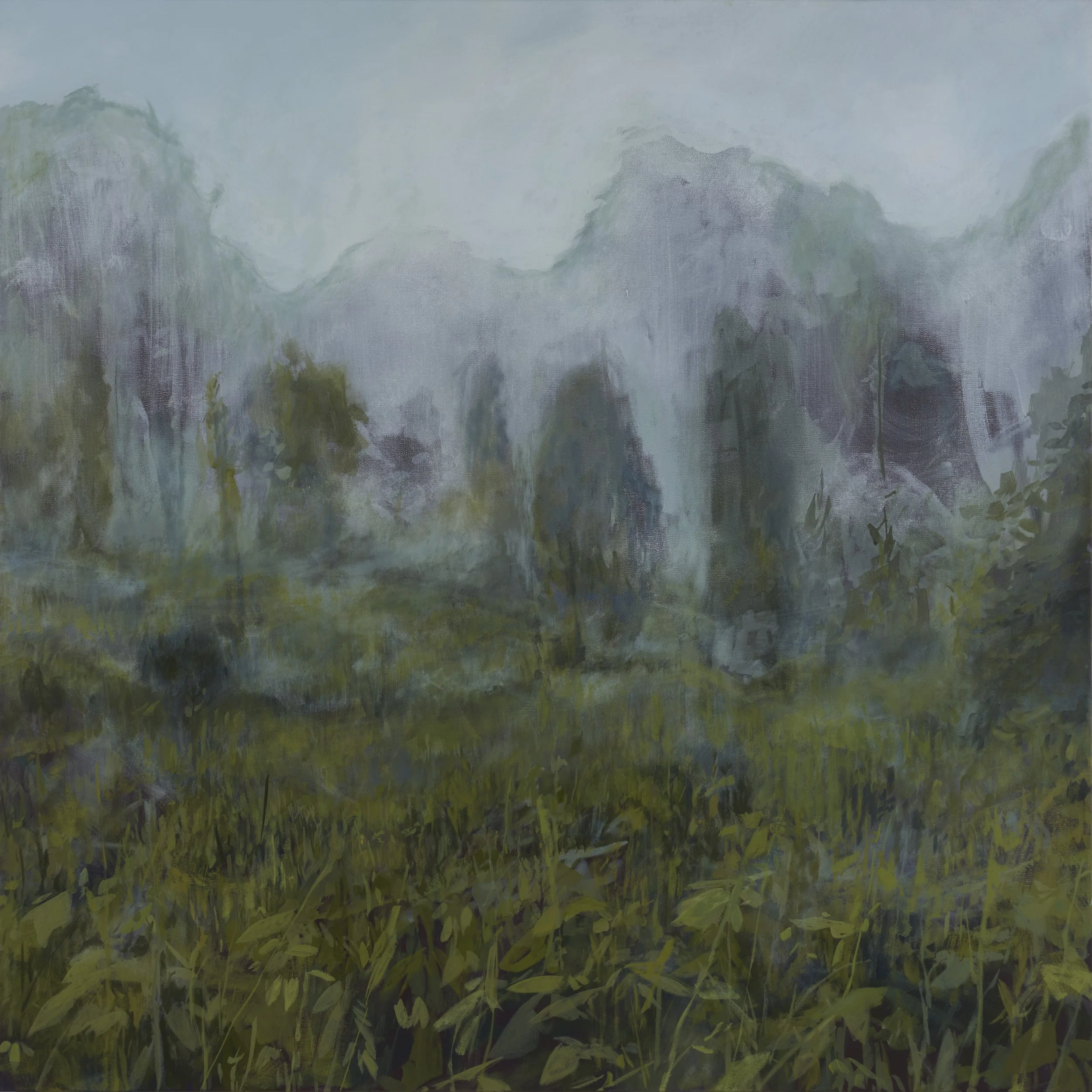 Morning Dew 48 x48_10500.jpg