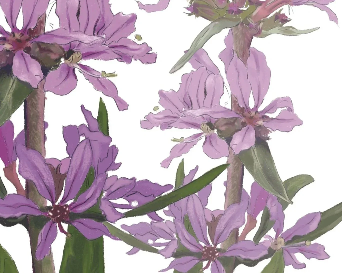 Infotafel - Biodiversität