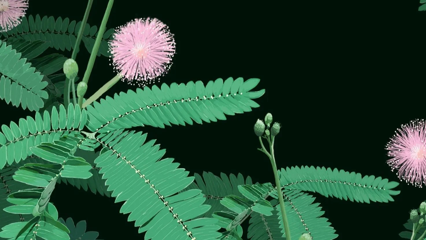 Botanische Infotafel