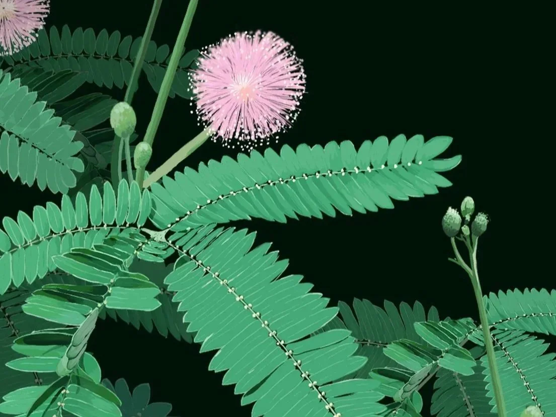 Botanische Infotafel