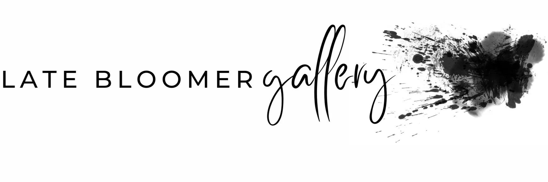 Store 2 Late Bloomer Gallery store-2-late-bloomer-gallery