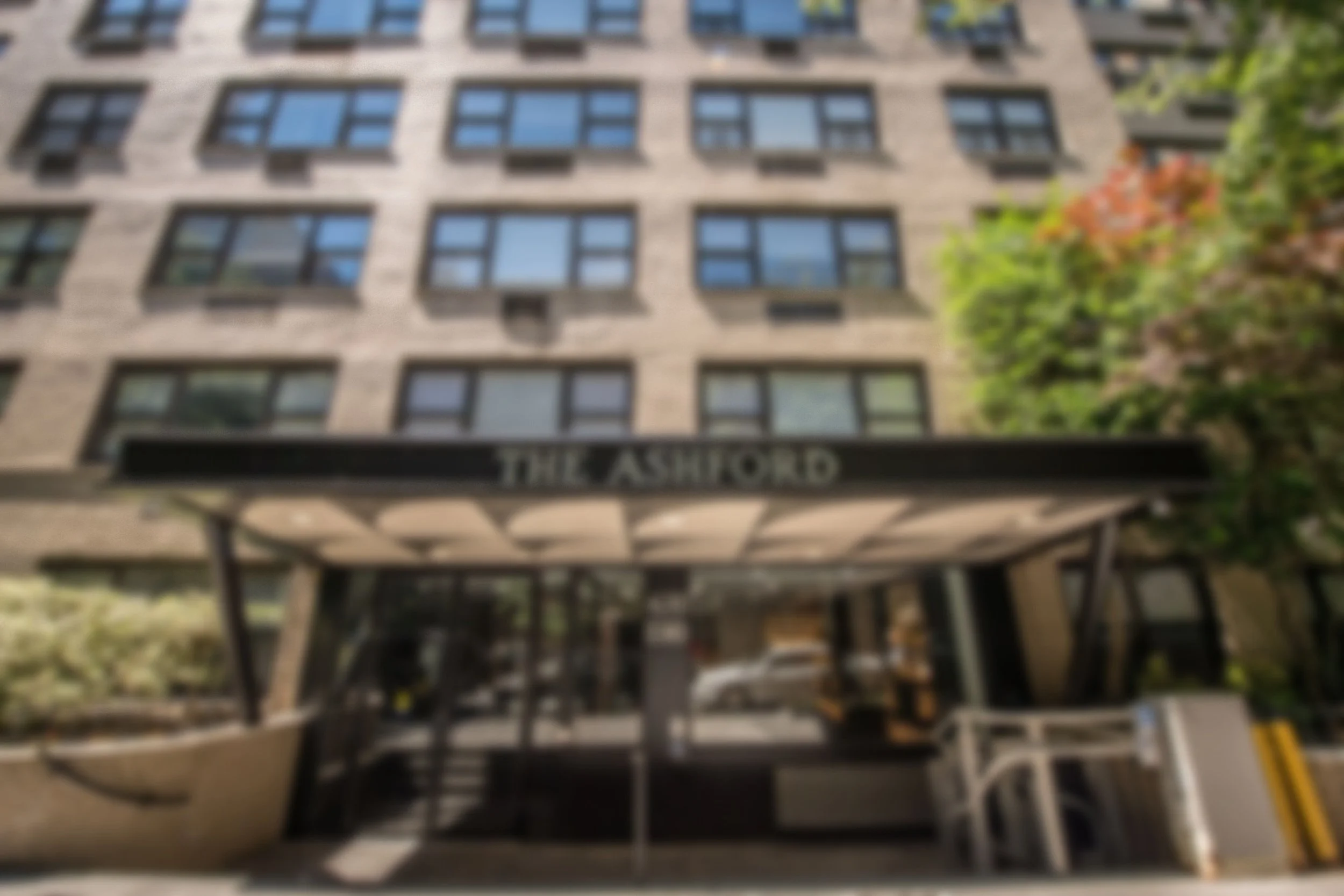 Residents — The Ashford NYC