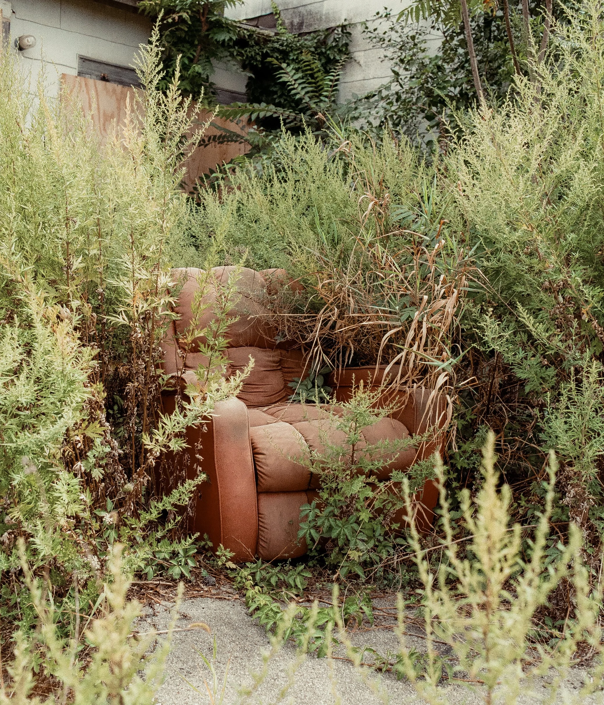 35mm-79.JPG