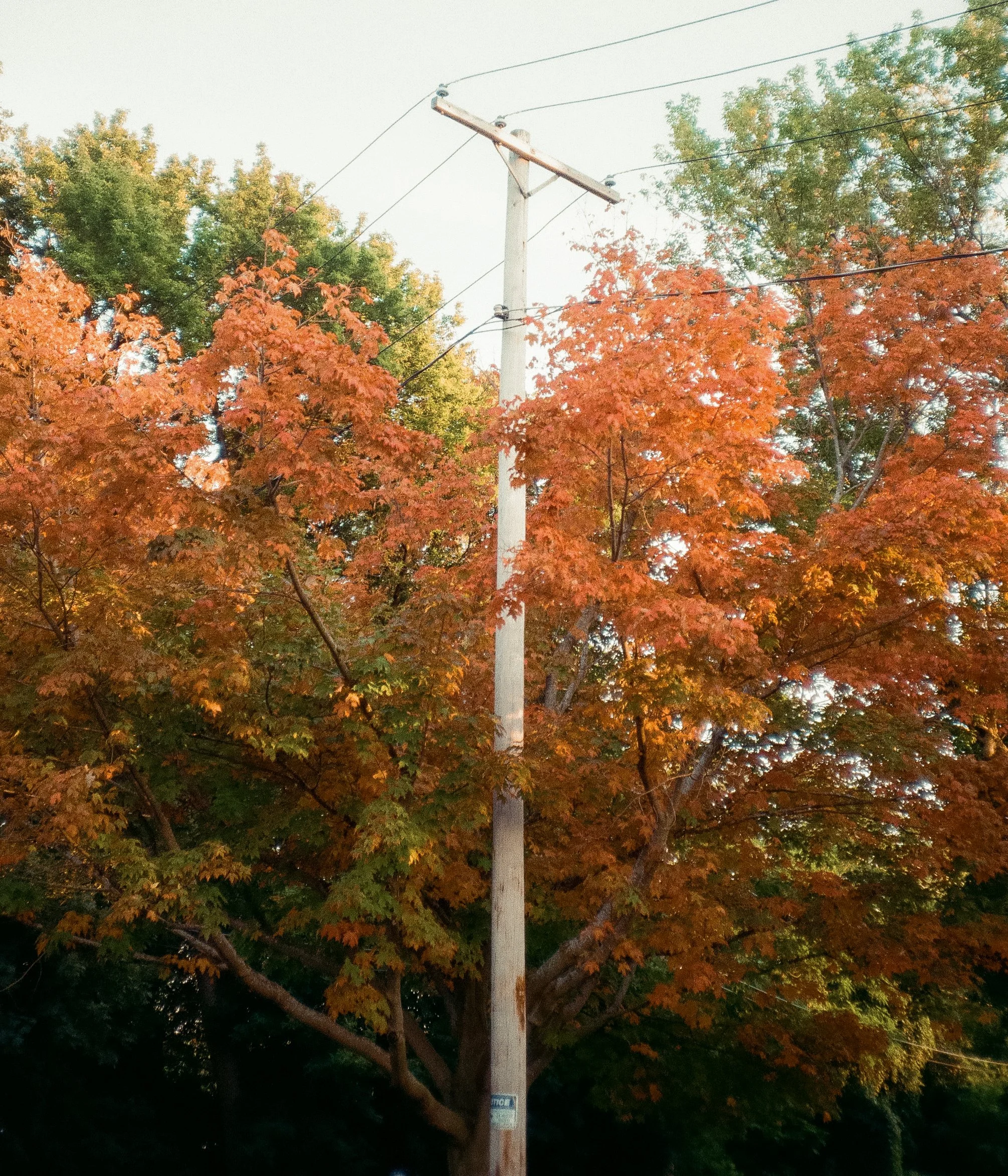 35mm-115.JPG