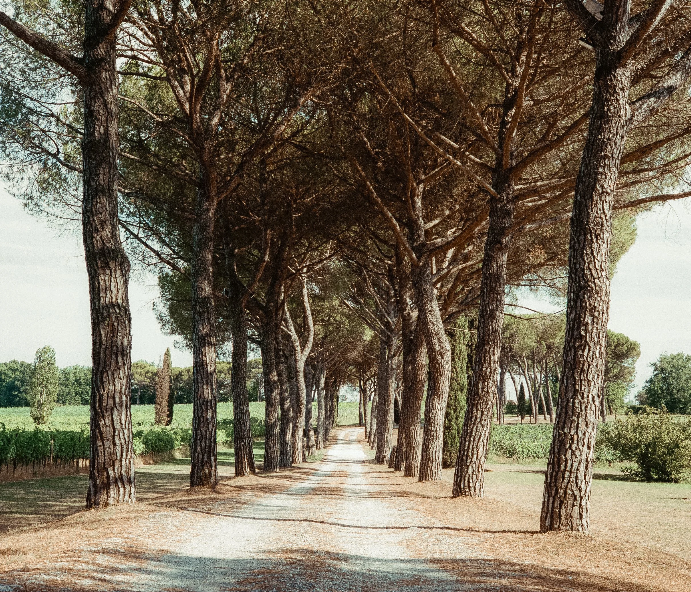 35mm-48.JPG