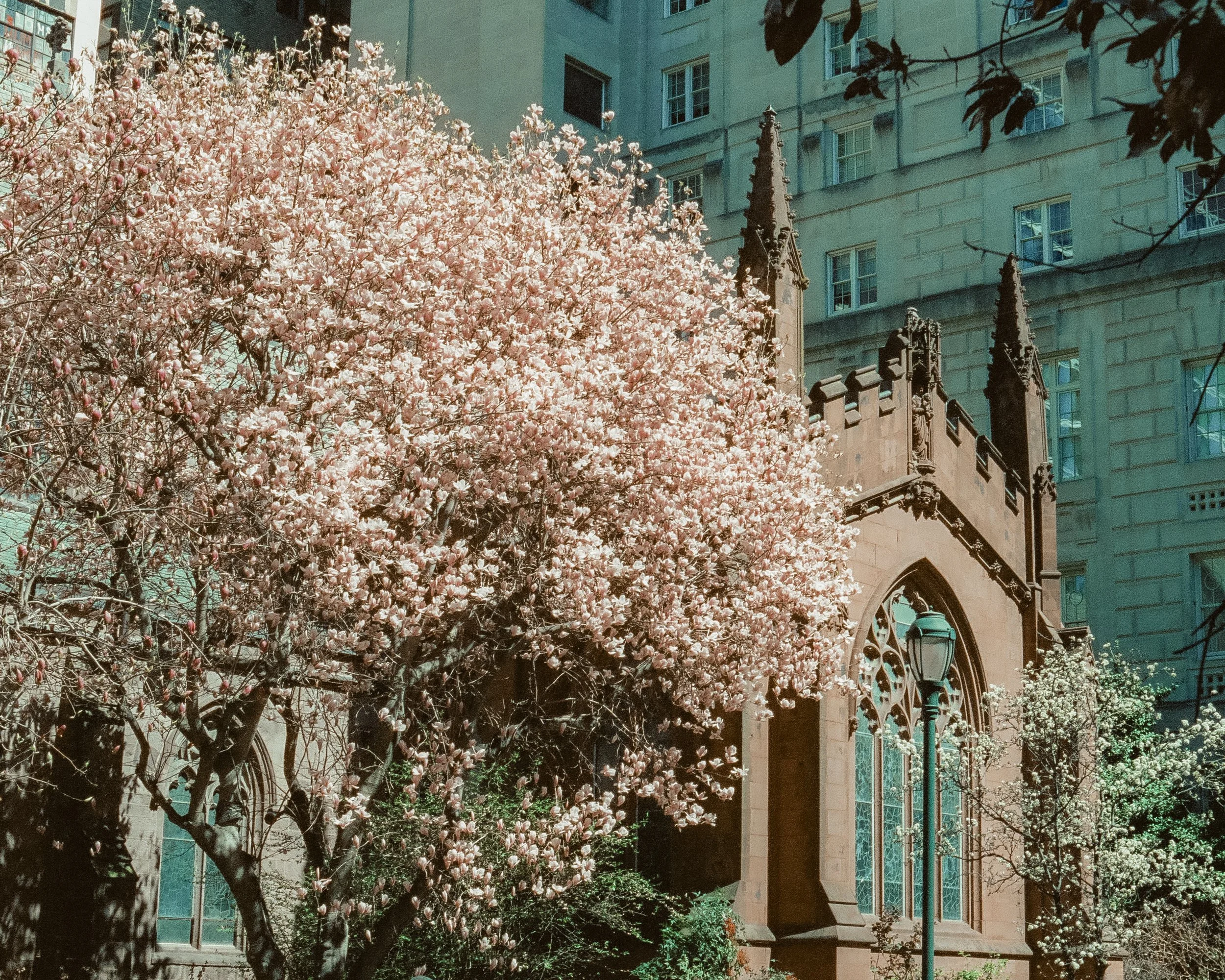 35FILM-148.JPG