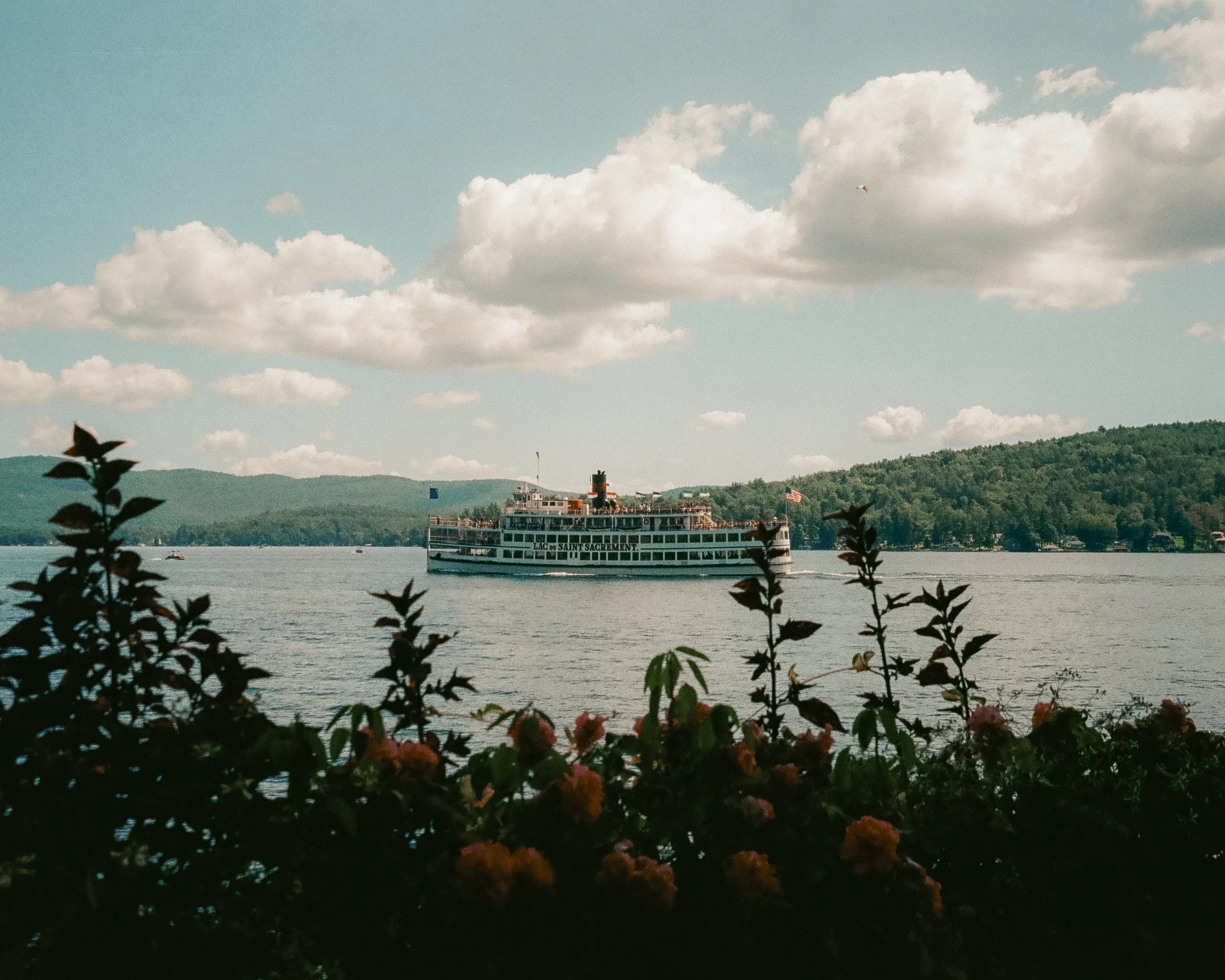 35FILM-99.JPG