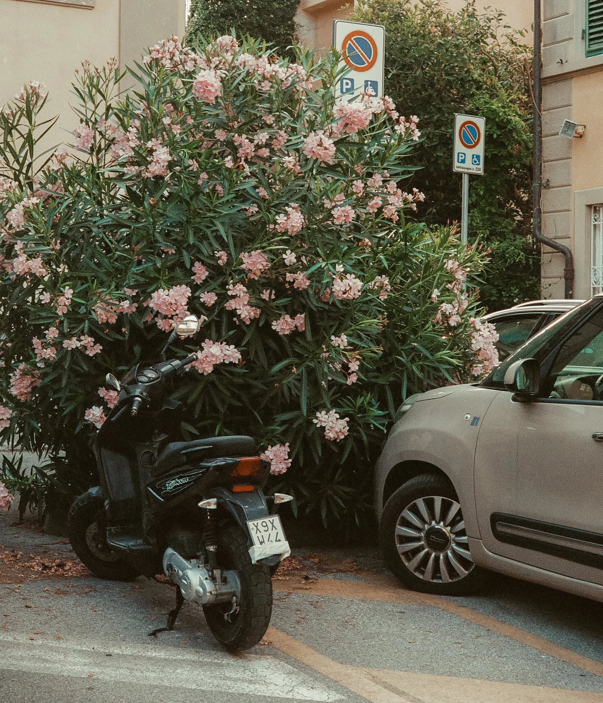 35mm-28.JPG