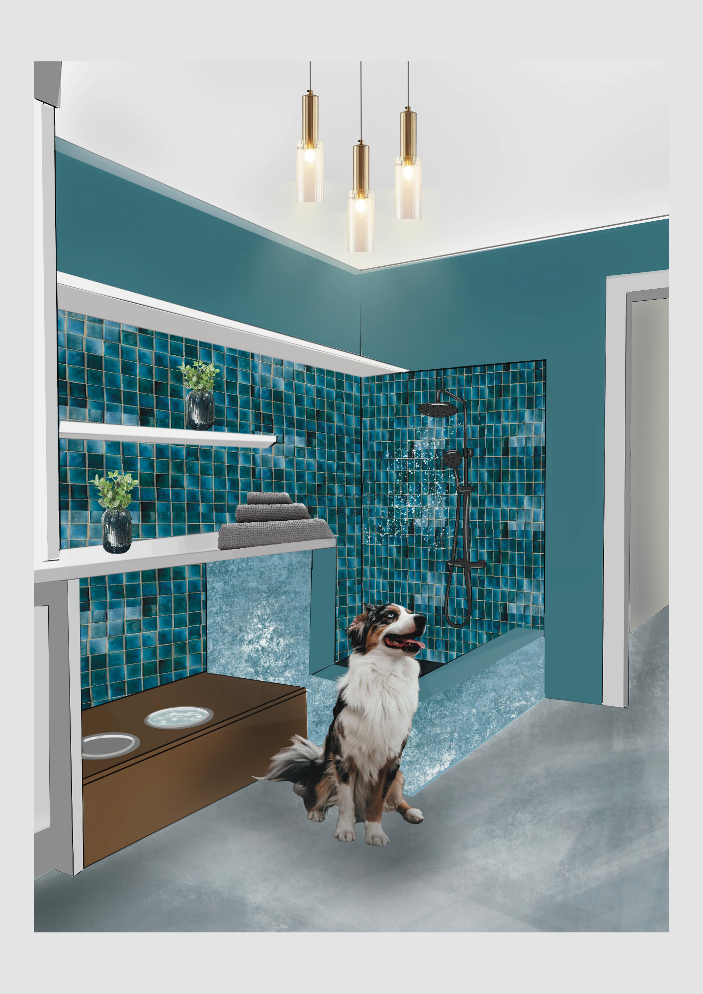 Dog interior — Studio Property & Object