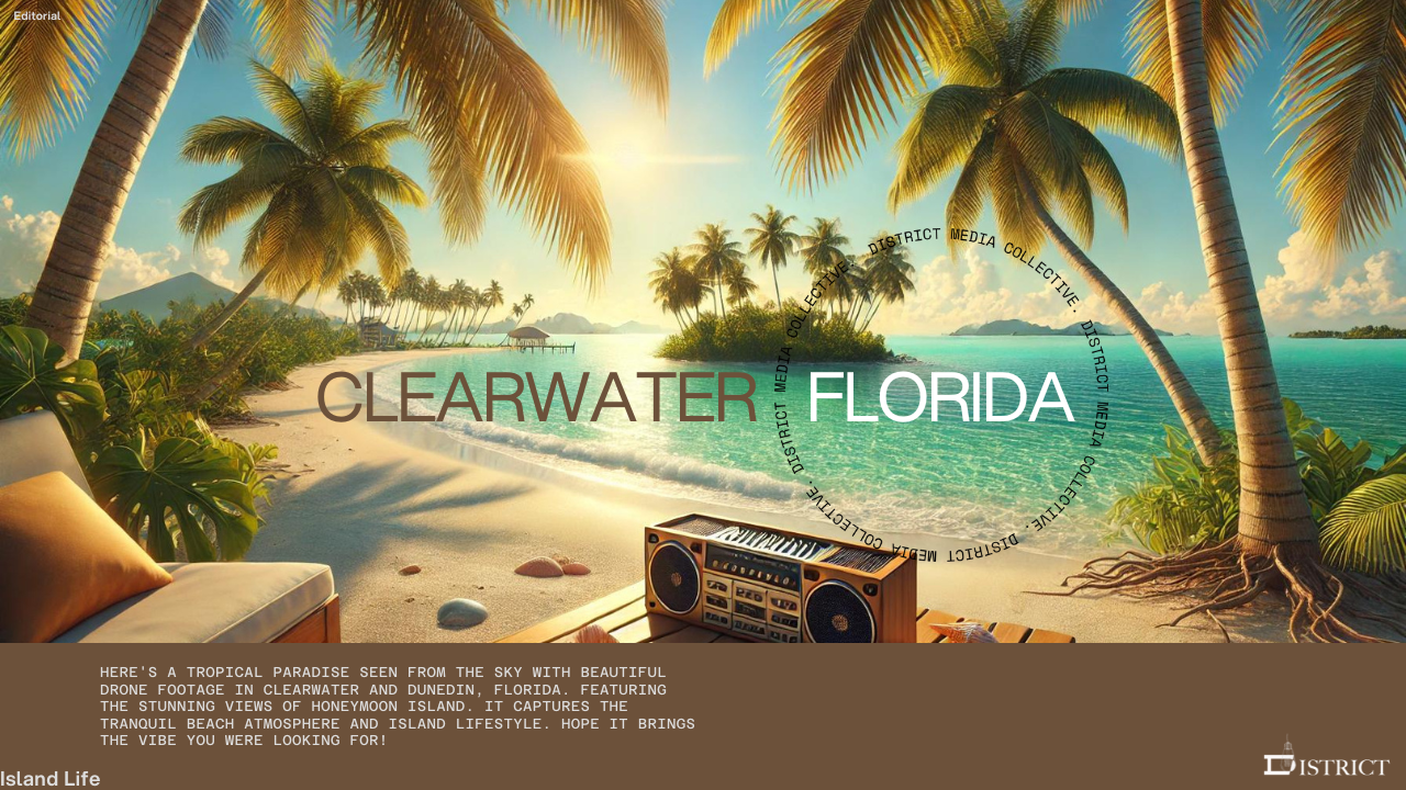 DUNEDIN FLORIDA .png