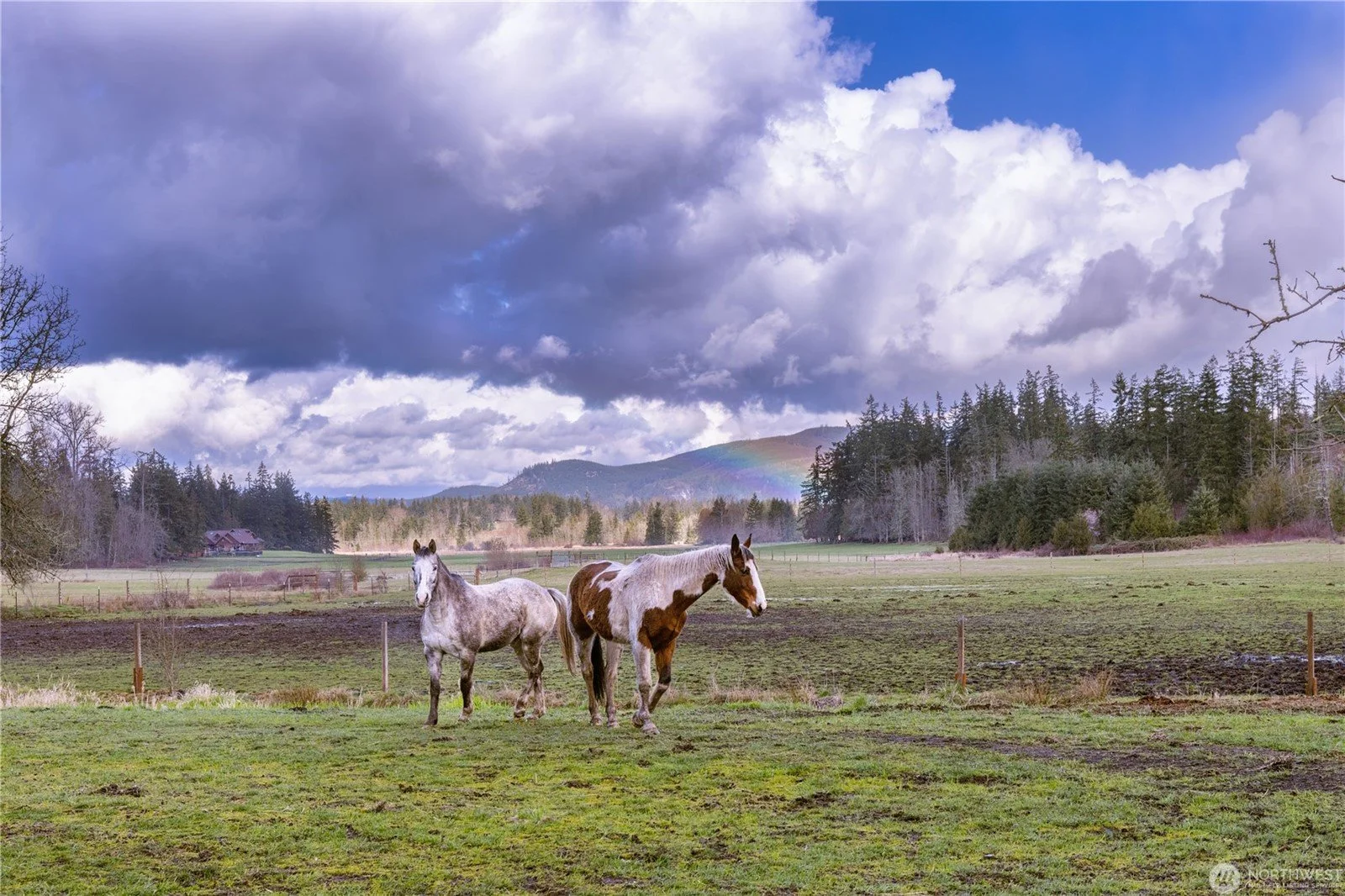 Eatonville Equestrian Property For Sale