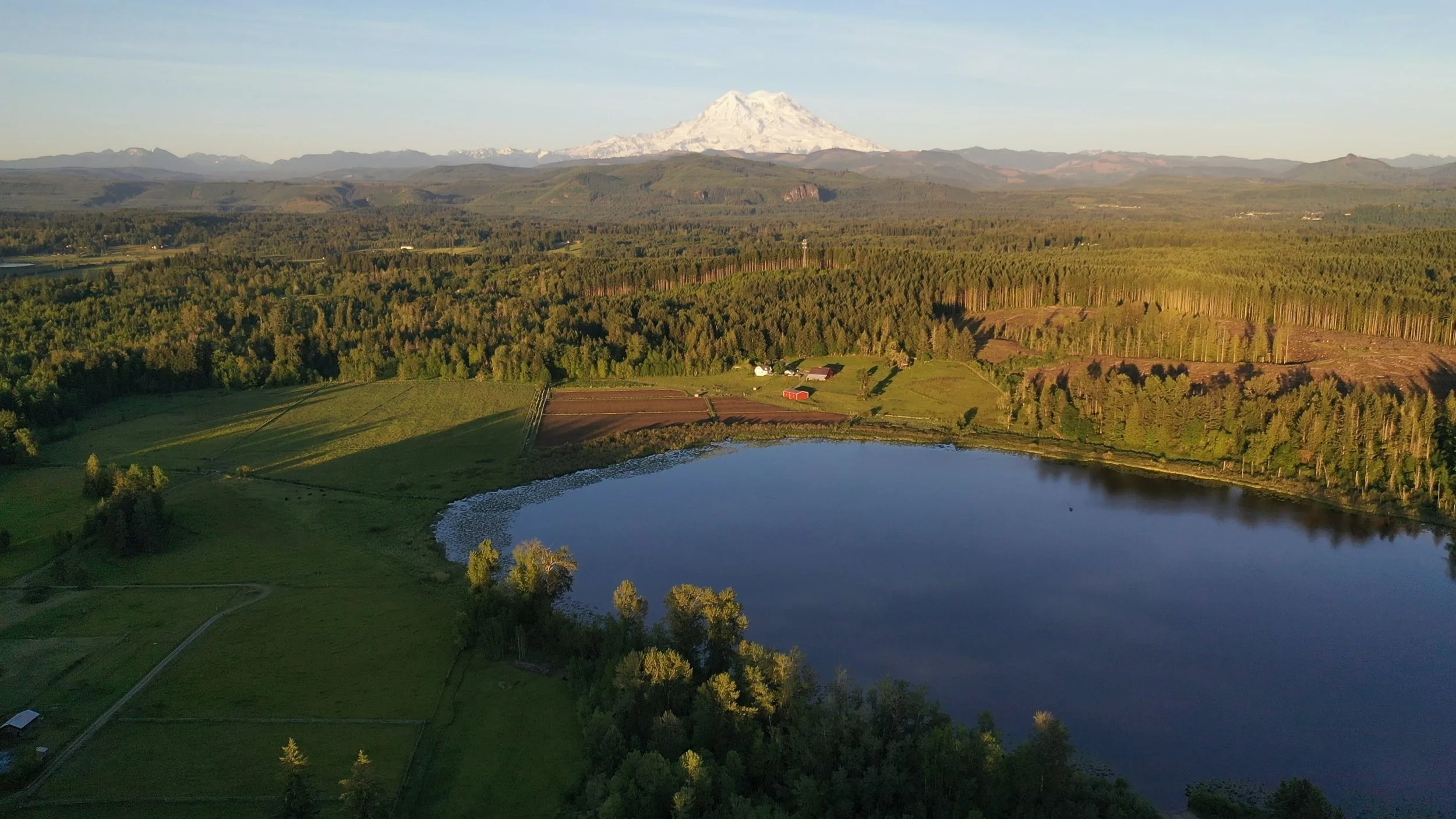 What to Know Before Buying Acreage in Western Washington