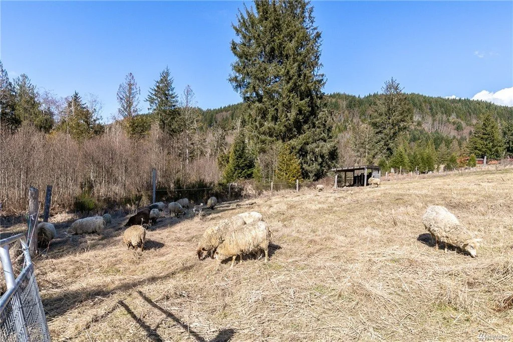 Mini Farm vs. Raw Land: What Makes More Sense for You?