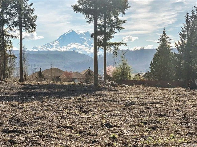 How to Tell if Land is Actually Buildable in Washington State